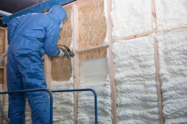 Professional Insulation Removal & Installation in Soda Springs, ID